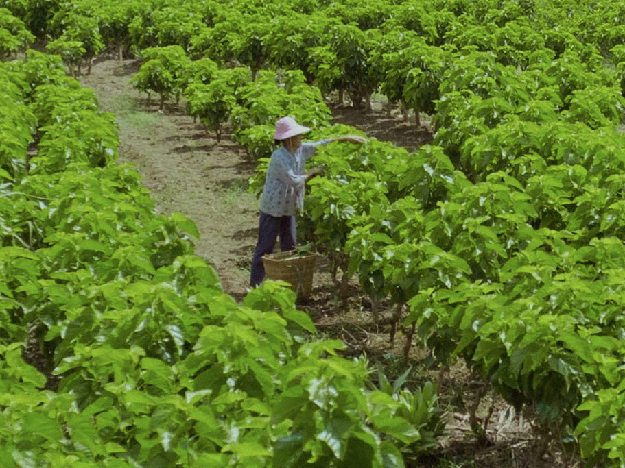 2% FOR THE HANDS BEHIND OUR SILK